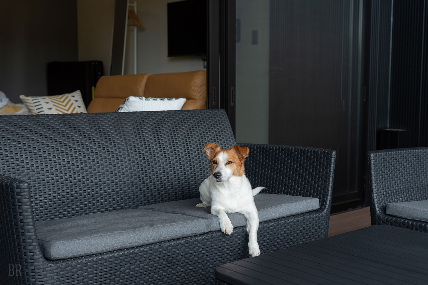 ワンちゃんの禁止区域を設けない安心の客室空間