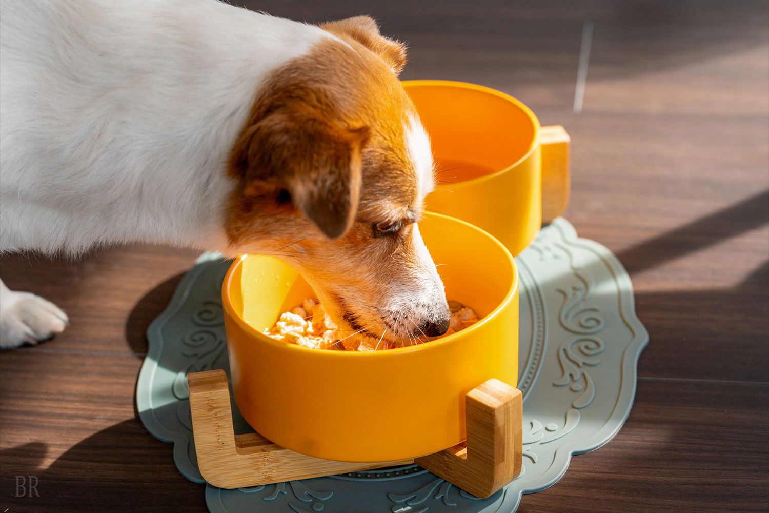 お食事も一緒に楽しめるうれしいグルメ時間