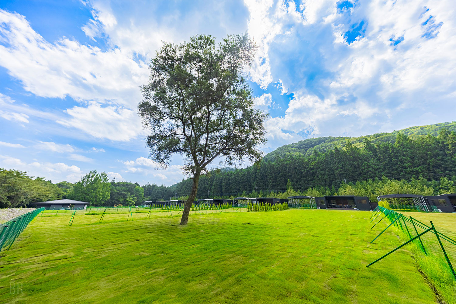 ドッグファーストな宿がもてなす3タイプのドッグラン