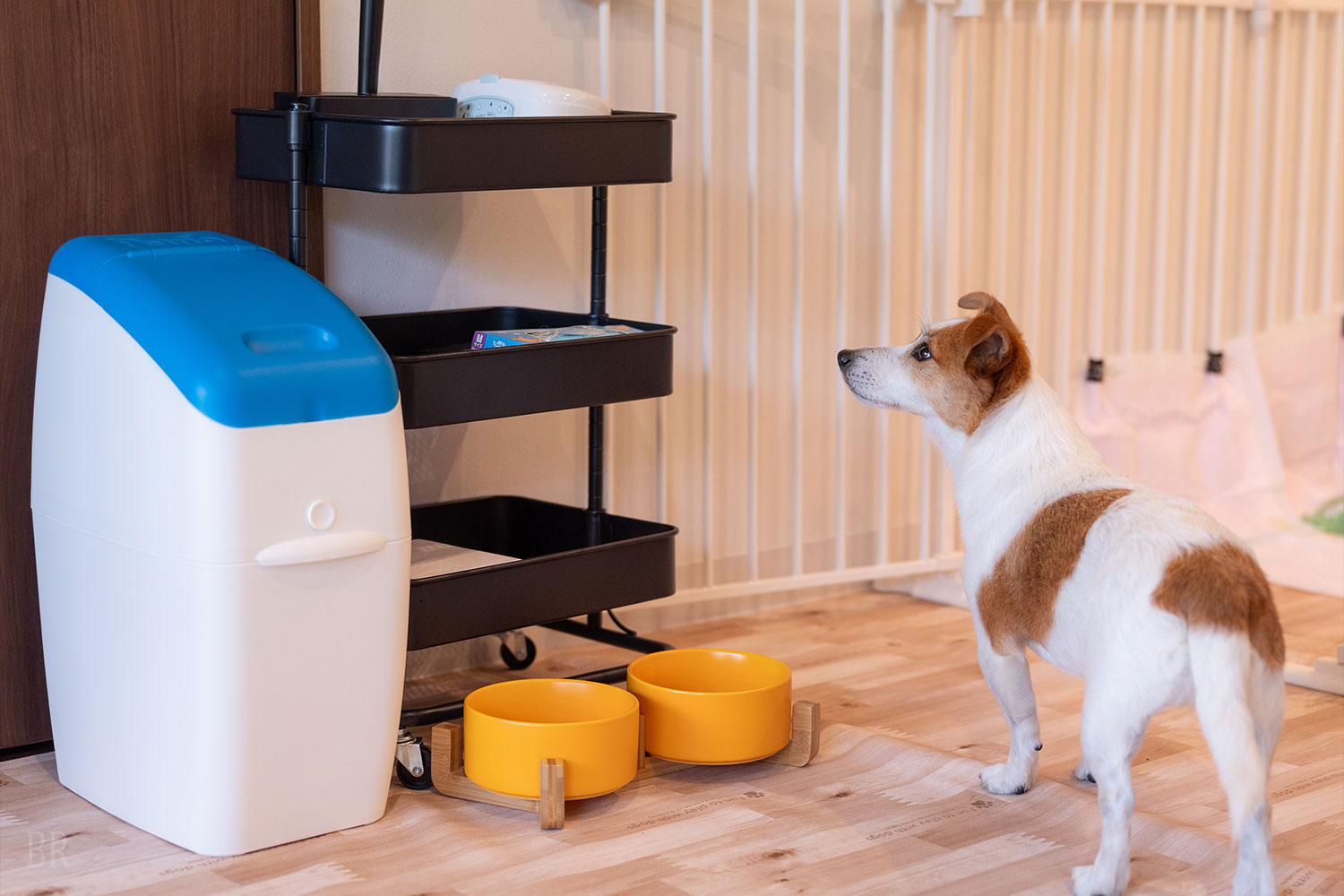 愛犬用アメニティも充実