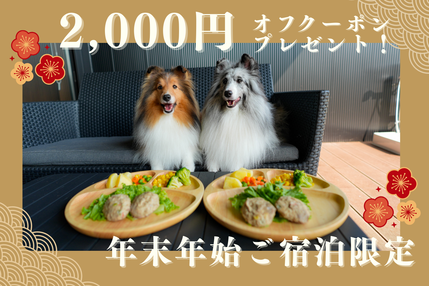 年末年始2000円オフクーポンプレゼント