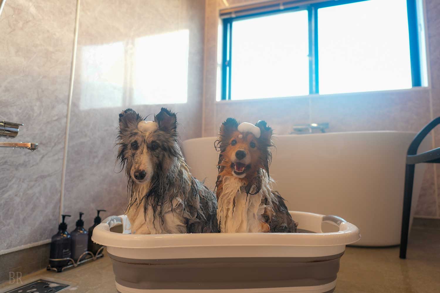 日光の自然を望む客室風呂