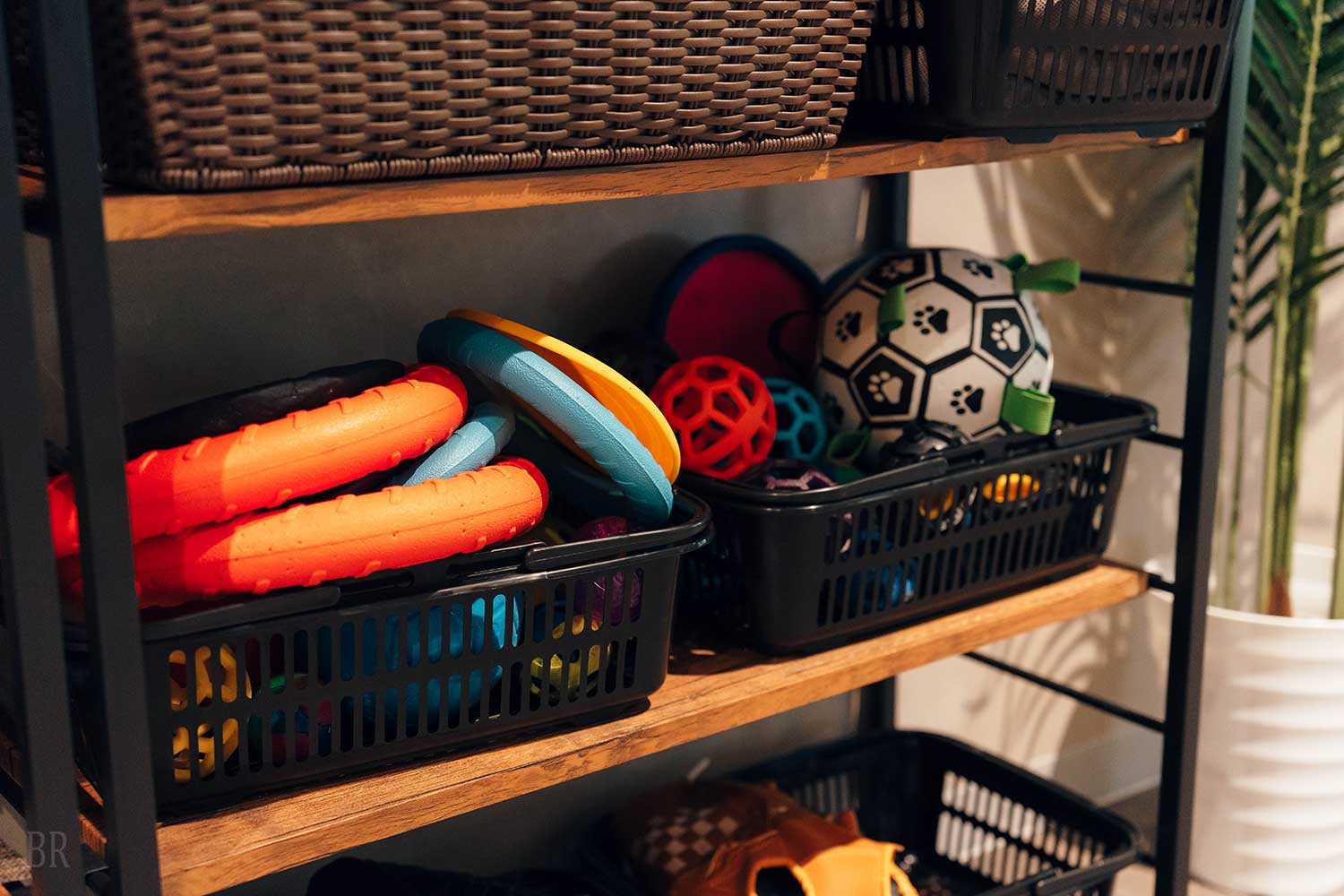 ドッグフレンドリーサービス