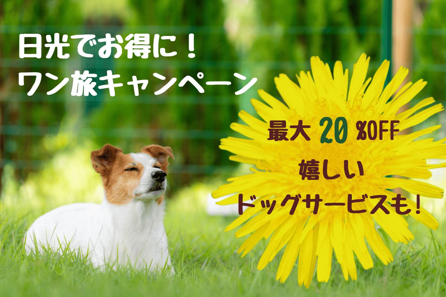 ワン旅キャンペーン