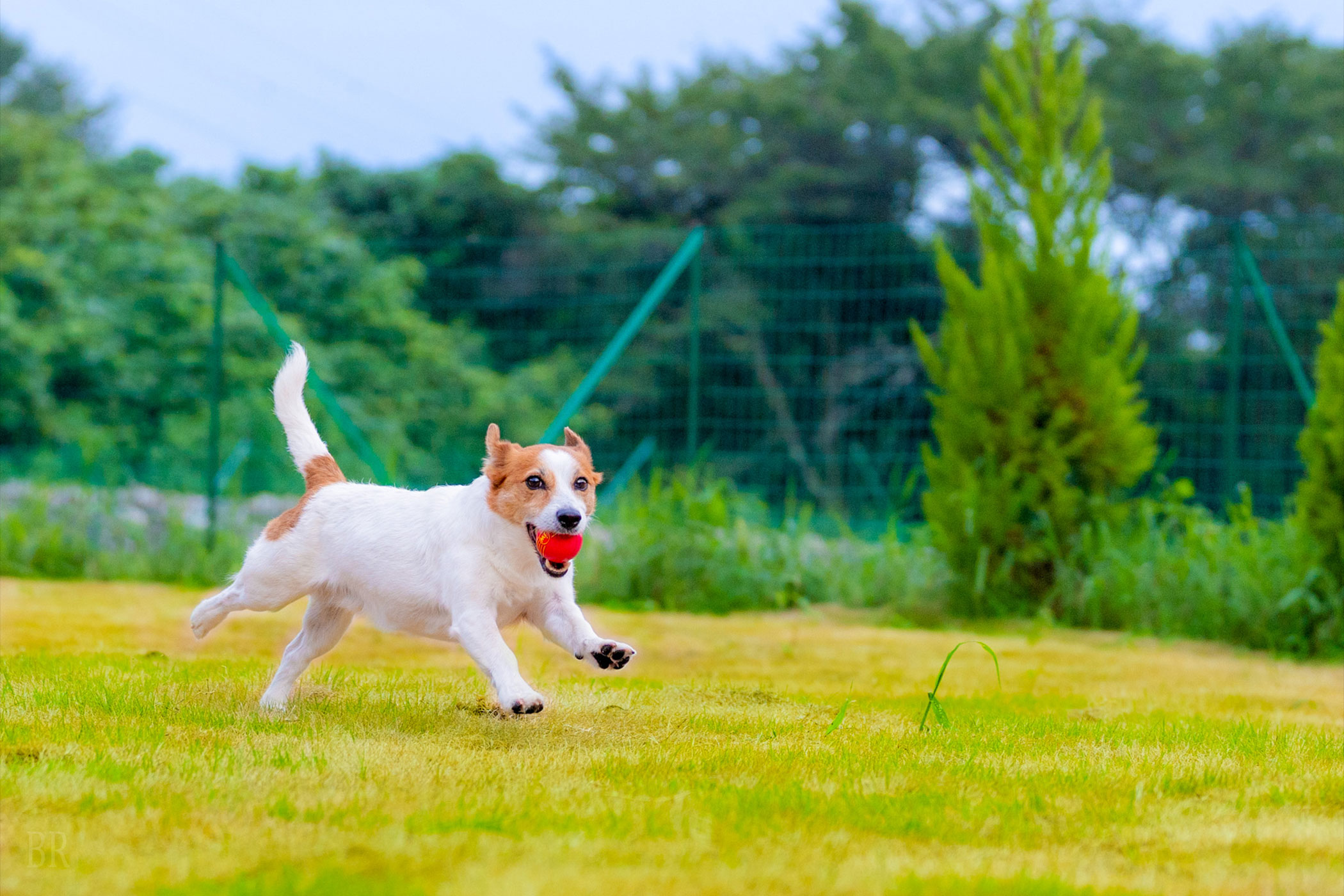 グランフォレスタヴィラ日光