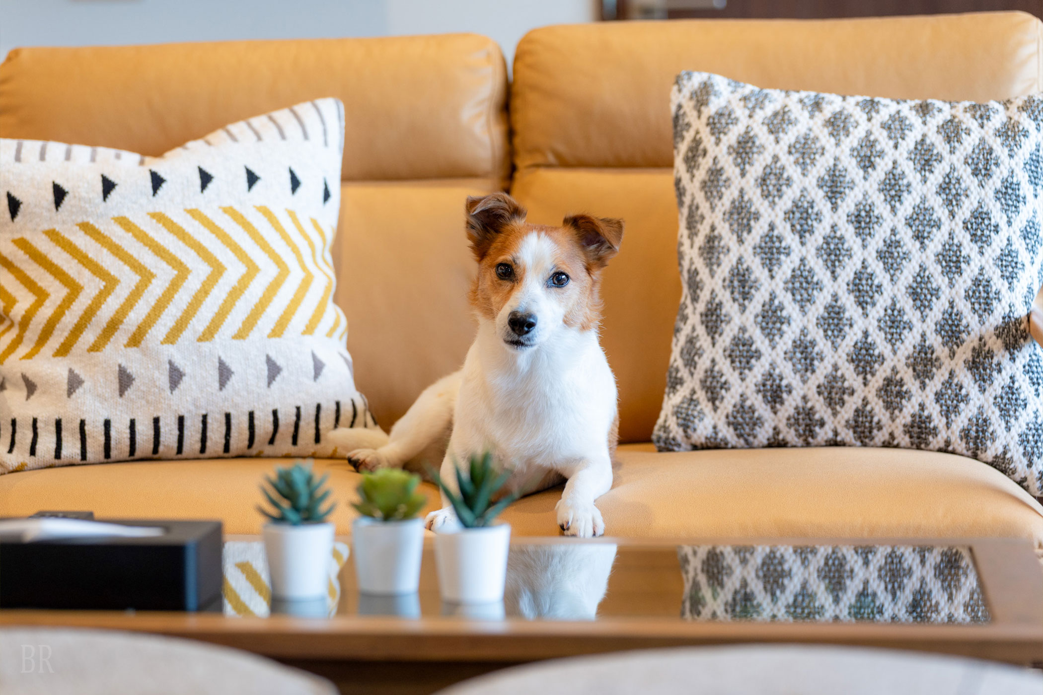 グランフォレスタヴィラ日光